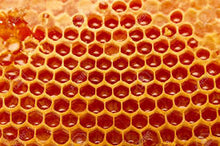 Load image into Gallery viewer, NaturaverdePro - Honey Roll On Wax
